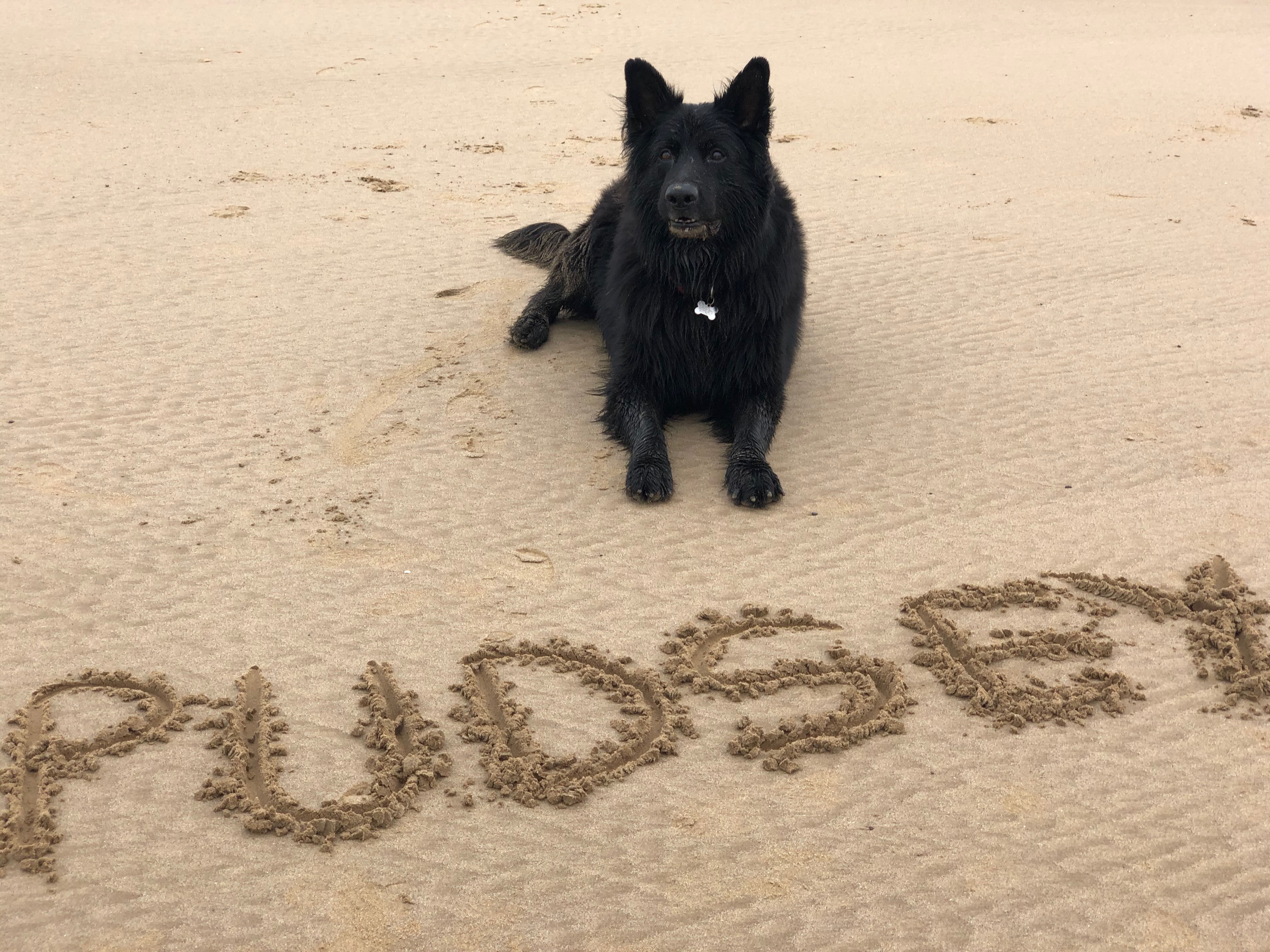 Pudsey — photo 1